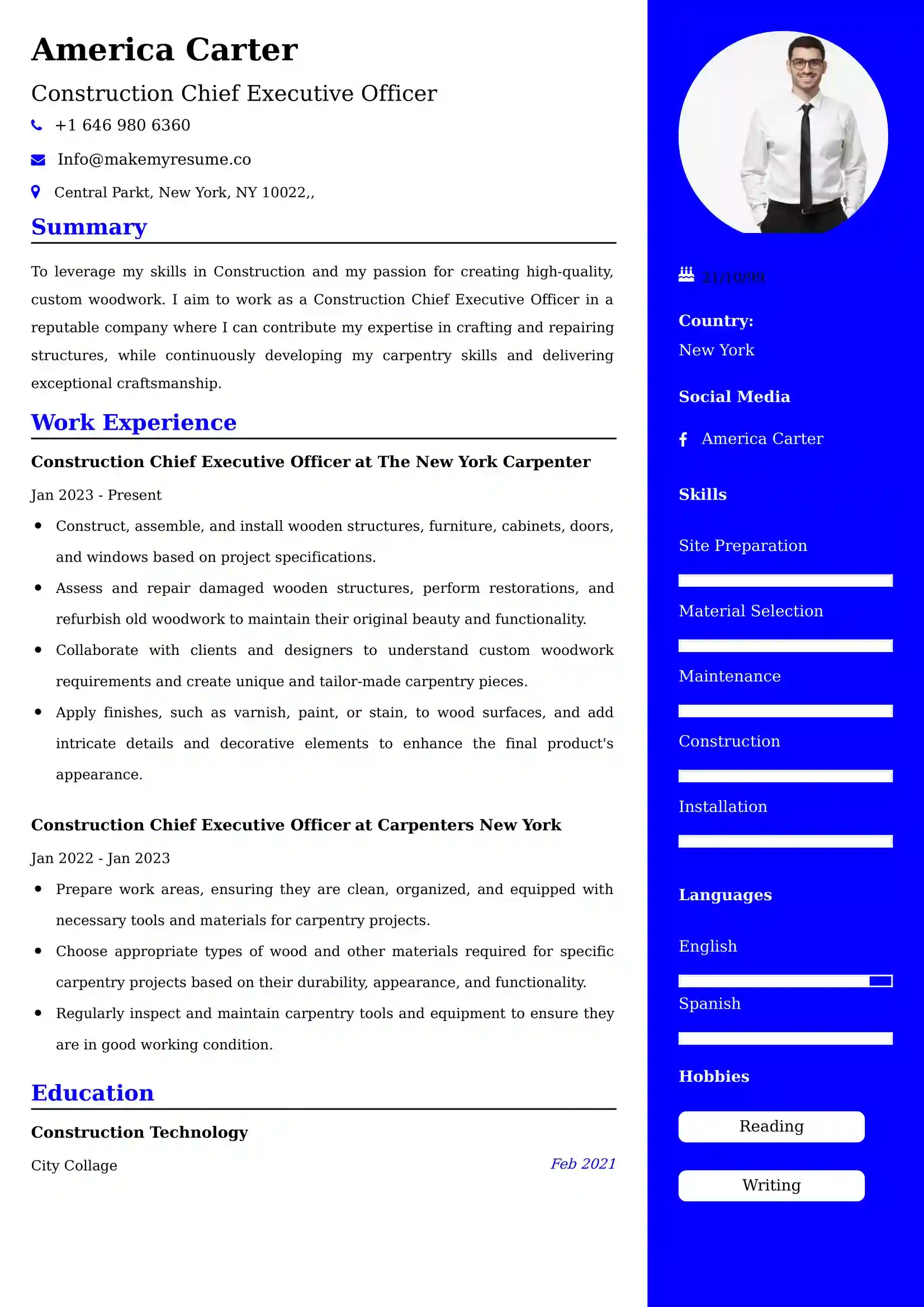 Construction Chief Executive Officer Resume Examples - Australian Format and Tips
